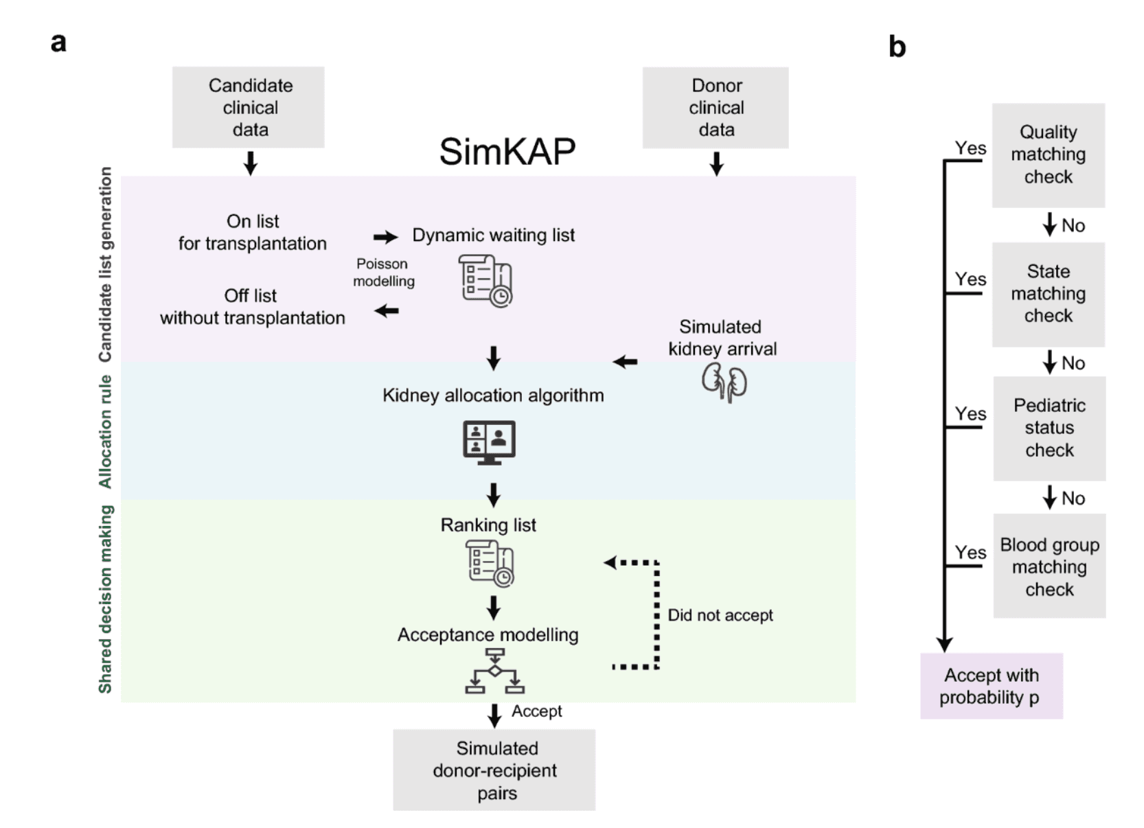 Kidney Allocation Simulation Framework